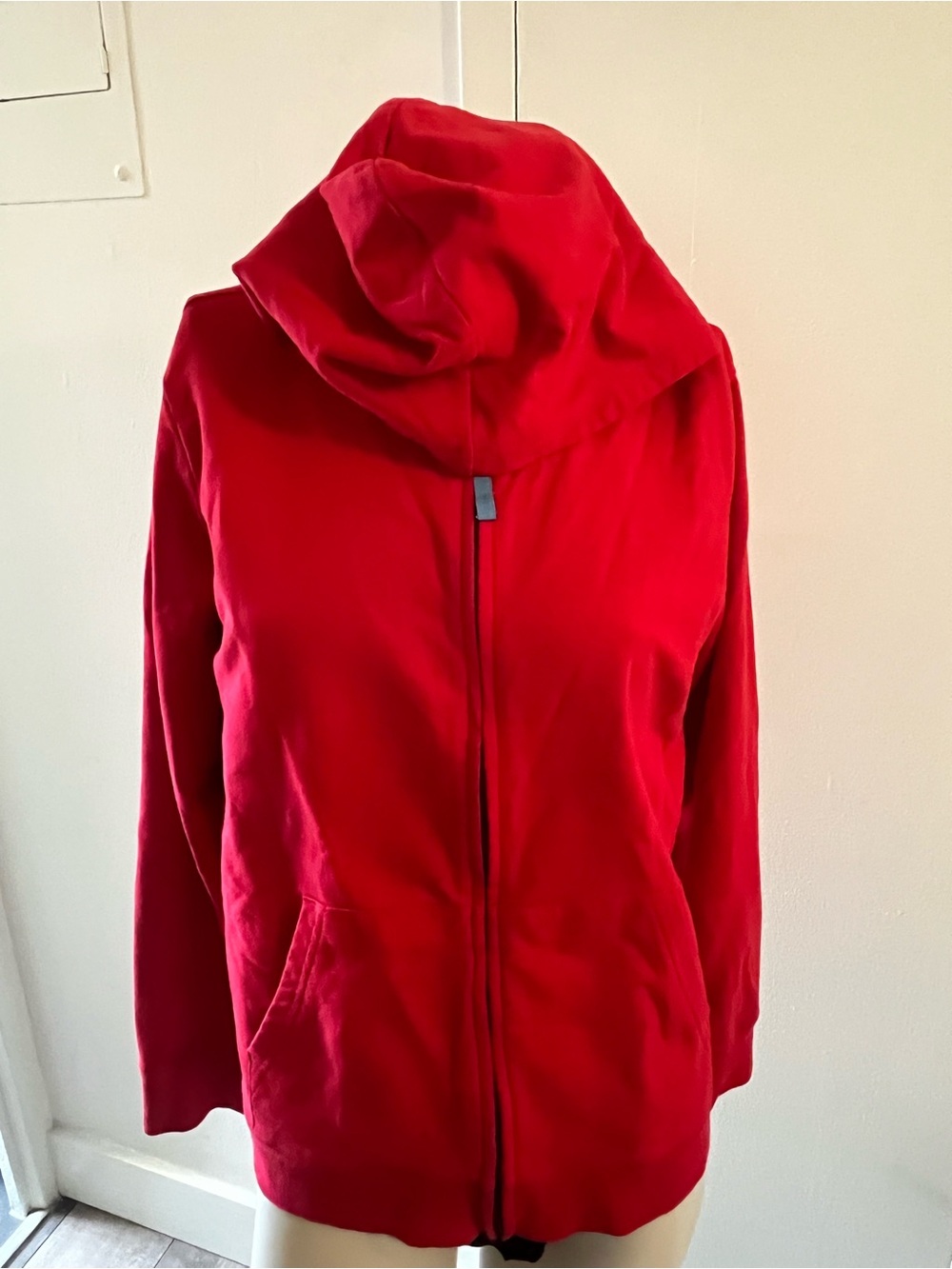 Primary Kids Red Zip-Up Hoodie